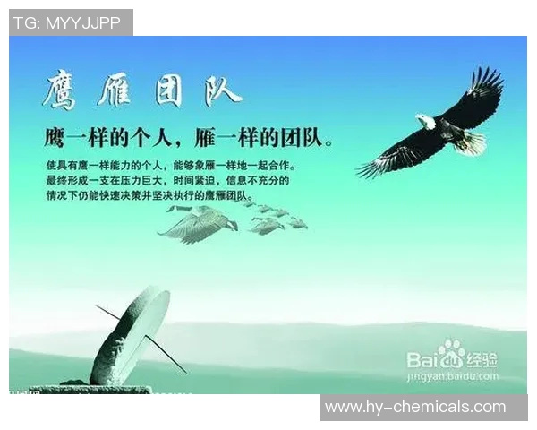 西安篮球队个人能力提升之路与团队协作的完美结合探讨