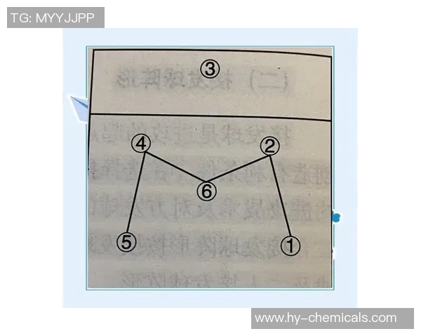 上海排球队反击战术解析与深度剖析排球竞技的魅力与挑战